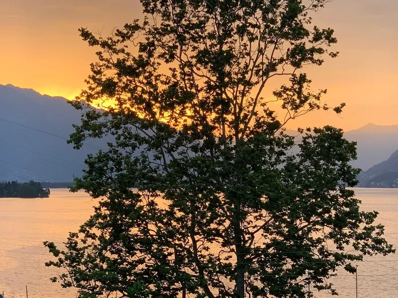 Ampio 5,5 con giardino e terrazza con affaccio sul lago a Brissago, photo 8