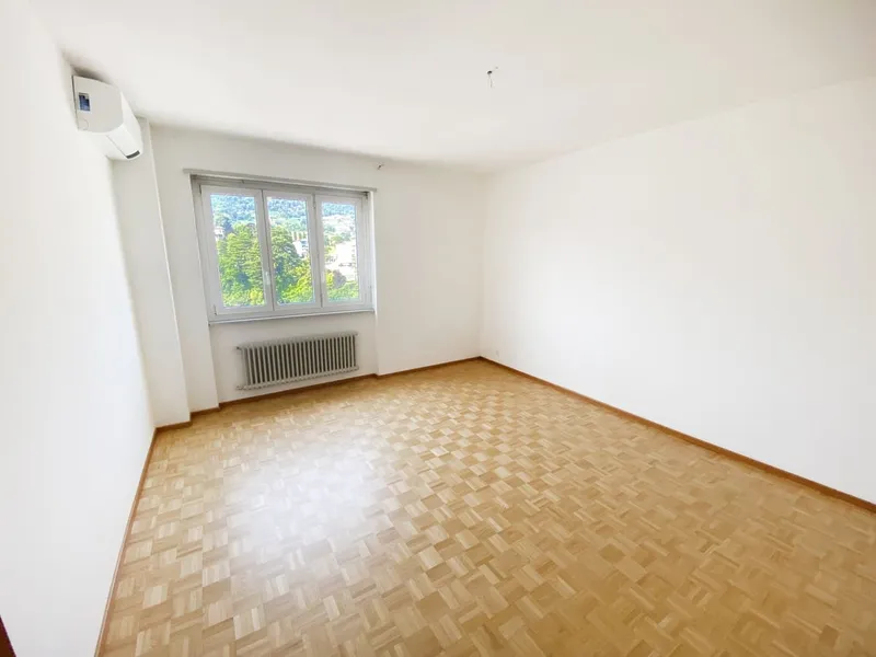 Splendido comodo 3,5 locali ristrutturato con terrazzo panoramico, foto 6