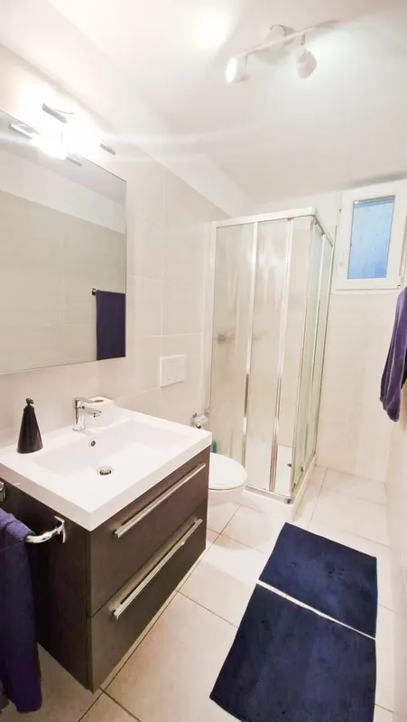 Moderna casa indipendente 6,5 con giardino con vasca idromassaggio, Foto 11
