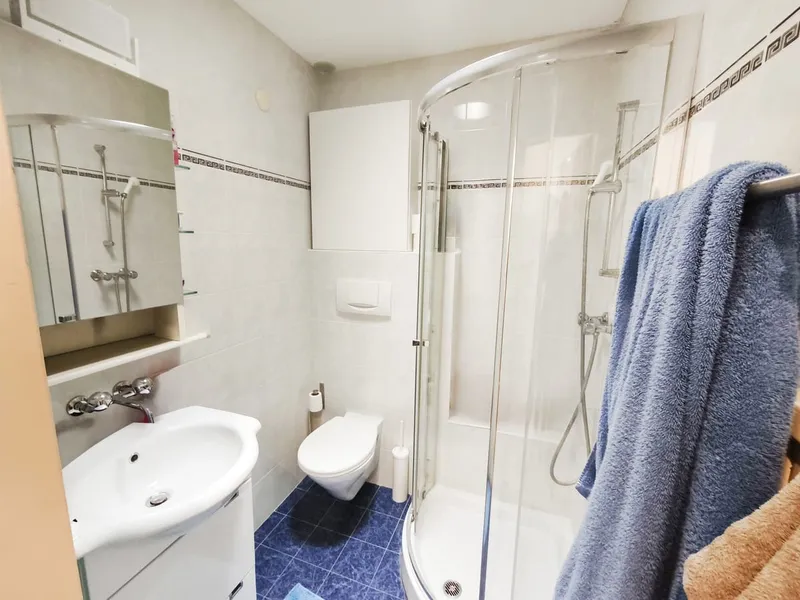 Casa indipendente 5,5 con giardino e spazi commerciali, foto 10