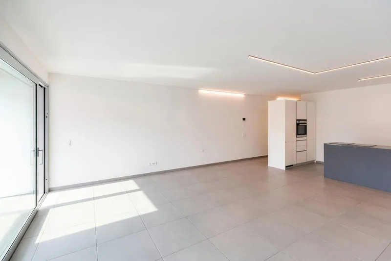 Elegante attico 3,5 con terrazza di 70 m² nel cuore di Bellinzona, photo 7