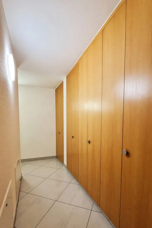Appartamento 4,5 ristrutturato con terrazzo e caminetto, foto 11