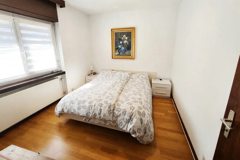 Appartamento 4,5 con camino e tre terrazzi a Manno, foto 6