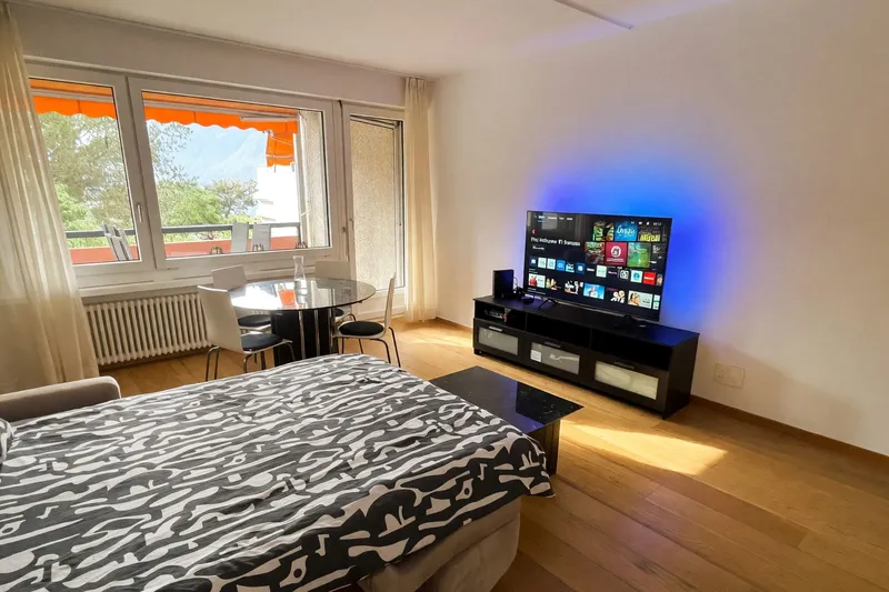 Bellissimo 2,5 locali con terrazza vista lago in residence di vacanza, photo 10