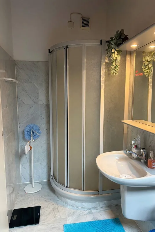 Bellissimo ampio duplex 5,5 locali con terrazza panoramica e camino, foto 10