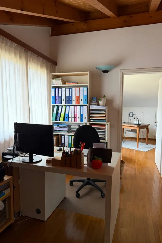 Bellissimo ampio duplex 5,5 locali con terrazza panoramica e camino, foto 14