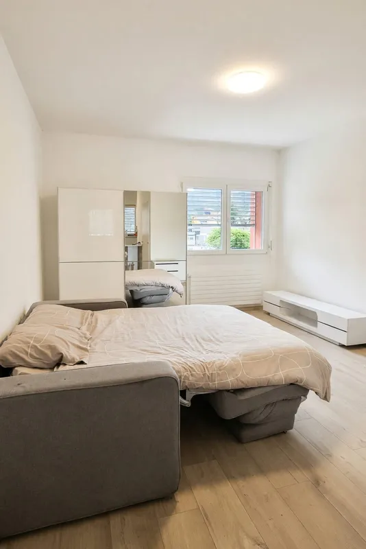 Accogliente 1,5 locali centrale con ampio bagno e spese incluse, Foto 3