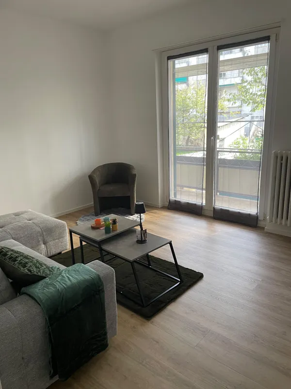 APPARTAMENTO 3.5 LOCALI INTERAMENTE ARREDATO, Foto 3