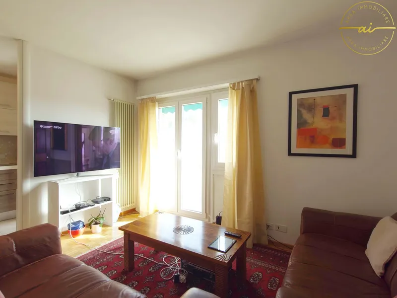 APPARTAMENTO 3.5 LOCALI CON AMPIO BALCONE A PREGASSONA, foto 5