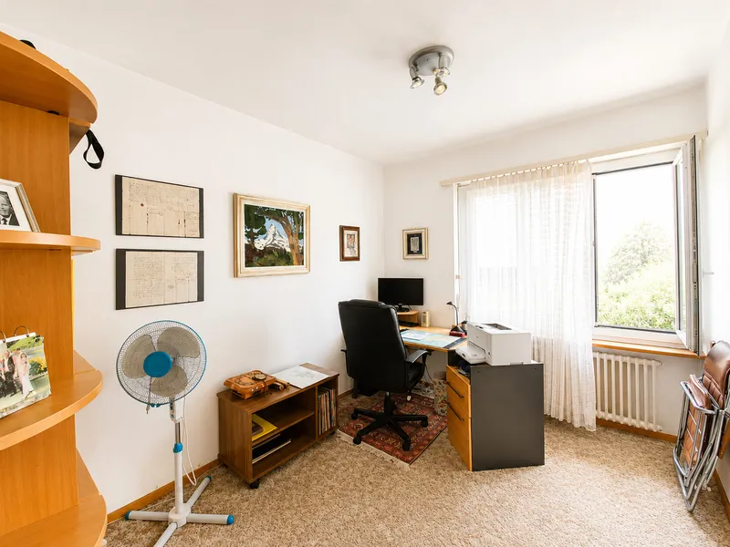 AMPIA VILLA DI 8 LOCALI CON GIARDINO PRIVATO A COLDRERIO, Foto 9