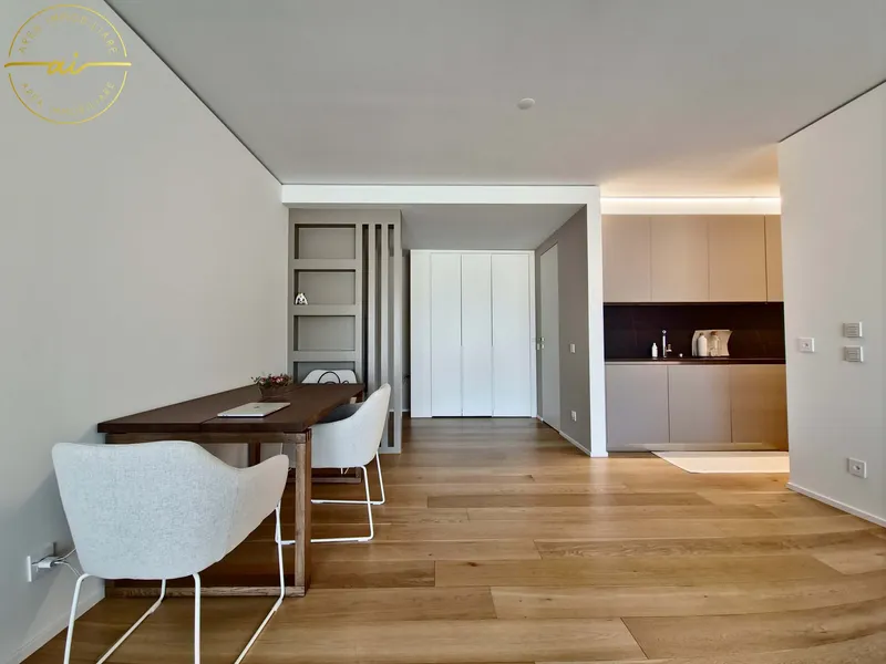 ELEGANTE APPARTAMENTO 3.5 LOCALI CON TERRAZZA E VISTA LAGO, foto 5