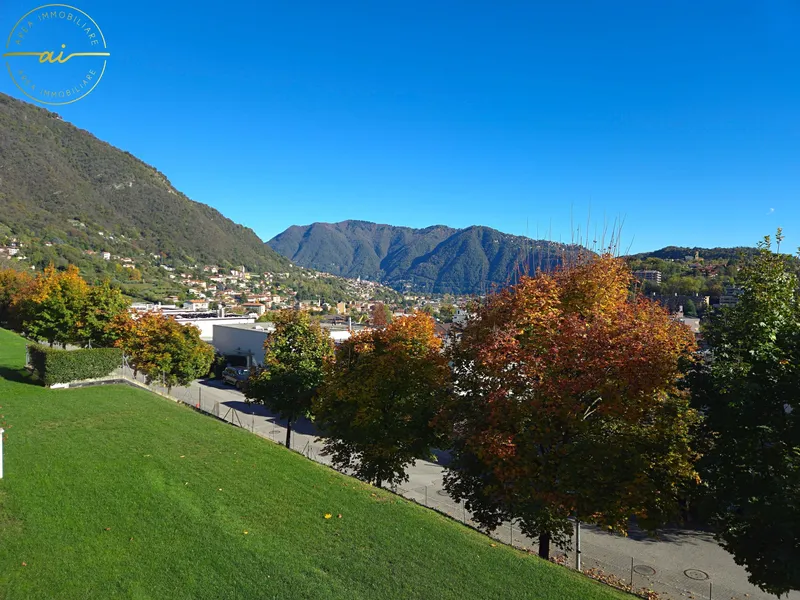 LUMINOSO APPARTAMENTO DI 3.5 LOCALI CON AMPIA TERRAZZA, foto 1