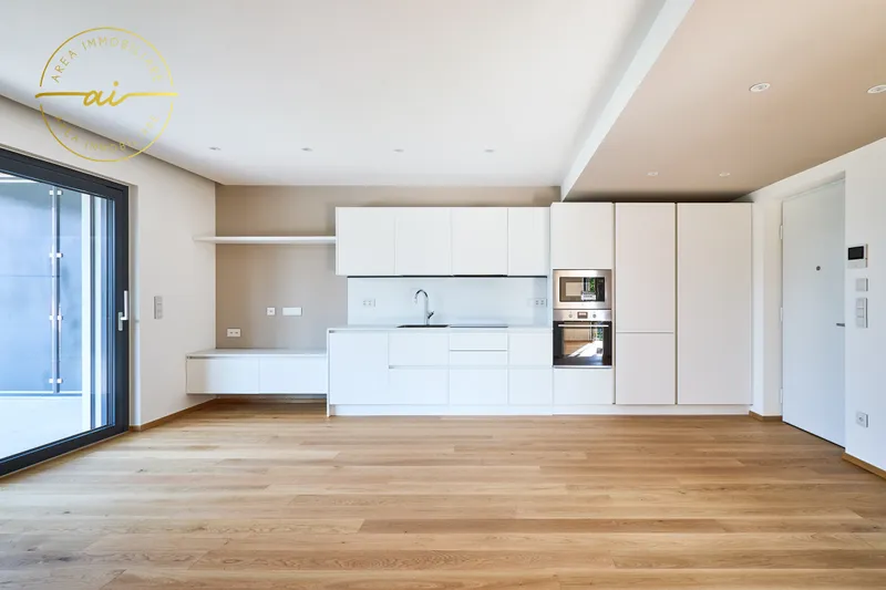 APPARTAMENTO 3.5 LOCALI CON TERRAZZA DI NUOVA COSTRUZIONE N4, foto 1