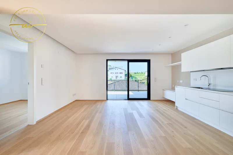 APPARTAMENTO 3.5 LOCALI CON TERRAZZA DI NUOVA COSTRUZIONE N4, foto 2