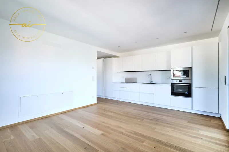 APPARTAMENTO 3.5 LOCALI CON TERRAZZA DI NUOVA COSTRUZIONE N3, photo 3