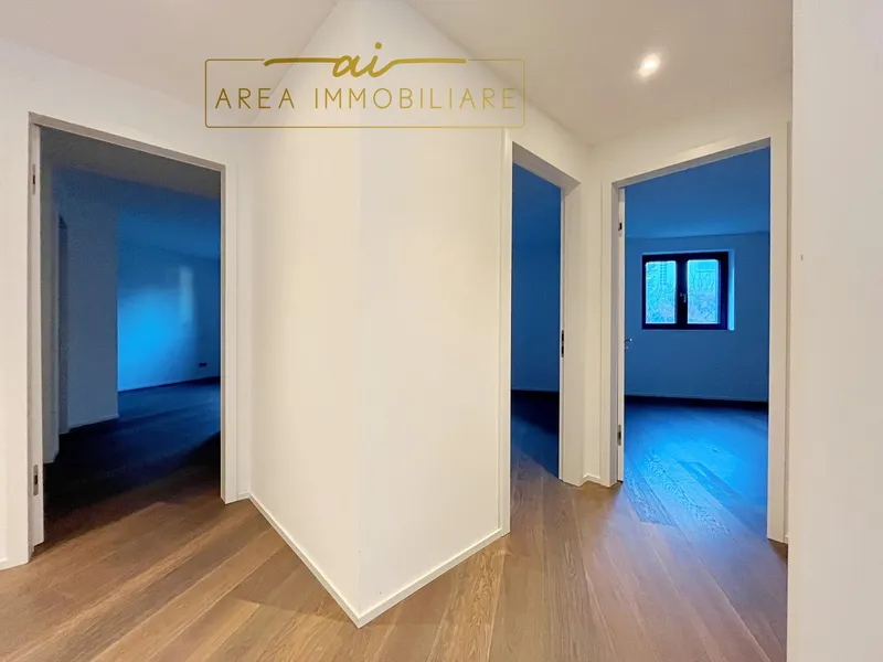 NUOVO ATTICO DI 4.5 LOCALI CON VISTA LAGO A PARADISO, Foto 13