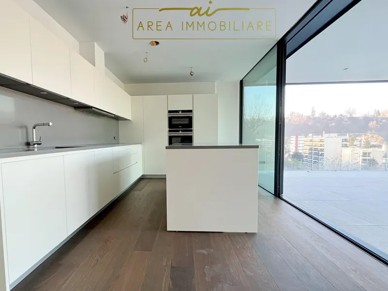 NUOVO ATTICO DI 4.5 LOCALI CON VISTA LAGO A PARADISO, Foto 11