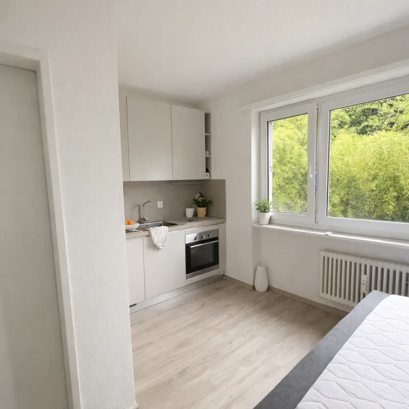 INVESTIMENTO BNB: MONOLOCALE VICINO AL LAGO | MINUSIO, Foto 2