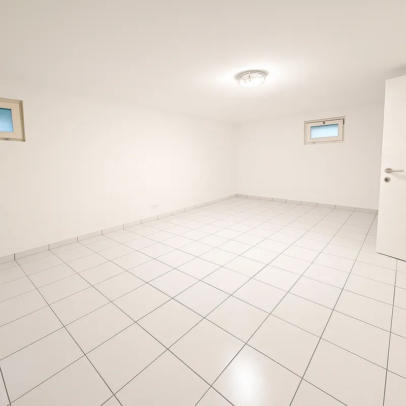 BRIONE SOPRA MINUSIO – CASA INDIPENDENTE CON PISCINA, foto 12