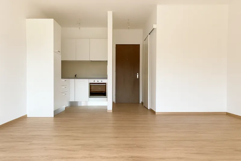 CASLANO, PURA – INVESTIMENTO AL 5% CON VISTA LAGO, photo 5