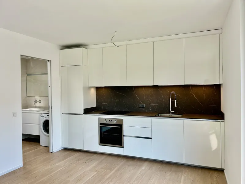 AFFITTASI MODERNO E CONFORTEVOLE 1.5 LOCALI A NOVAZZANO, foto 3