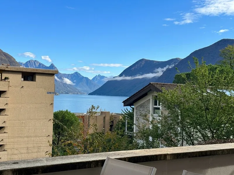 ELEGANTE 3.5 LOCALI CON TERRAZZA E SCORCIO LAGO A PARADISO, photo 2
