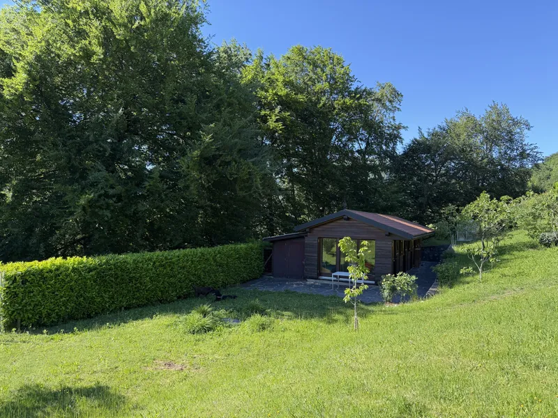 VILLA DI CHARME 10 LOCALI CON PISCINA E DEPENDANCE A VAGLIO, foto 8