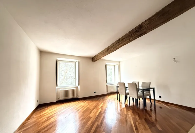 AFFITTASI STUPENDI BILOCALI IN PALAZZO STORICO A MORCOTE, foto 5