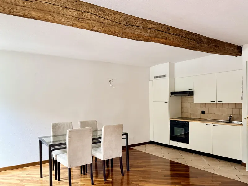 AFFITTASI STUPENDI BILOCALI IN PALAZZO STORICO A MORCOTE, foto 6