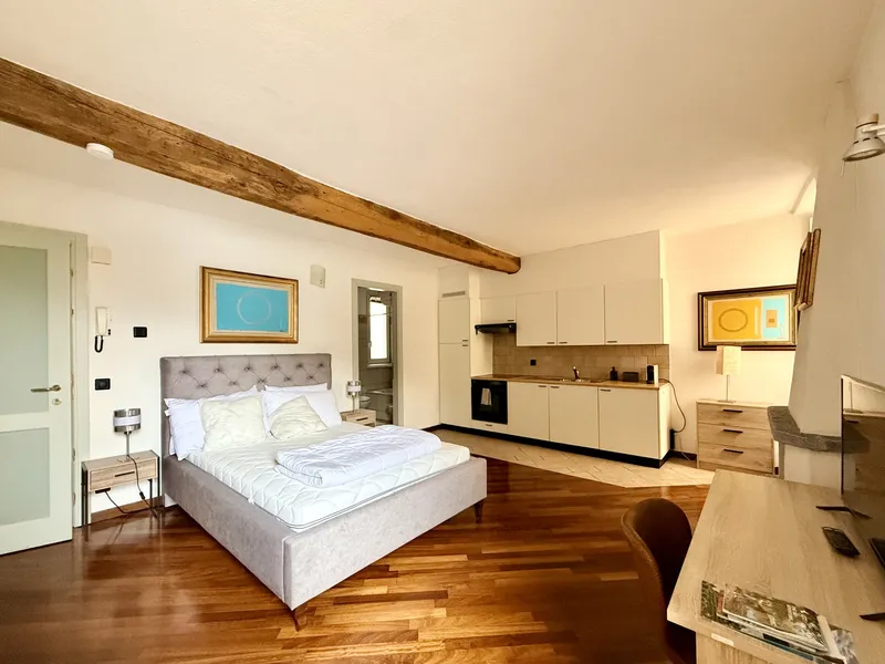 AFFITTASI GRAZIOSI MONOLOCALI IN PALAZZO STORICO A MORCOTE, foto 7