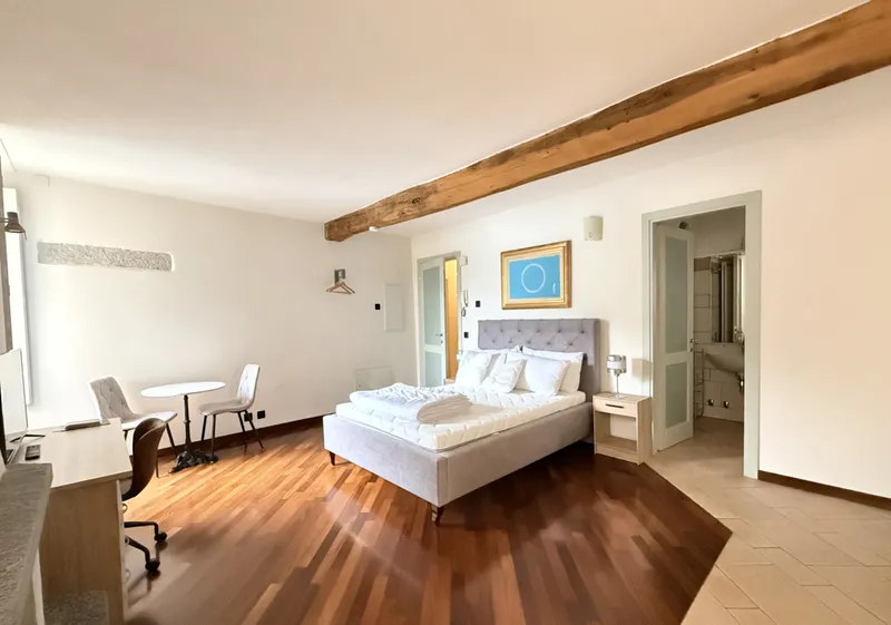 AFFITTASI GRAZIOSI MONOLOCALI IN PALAZZO STORICO A MORCOTE, foto 8
