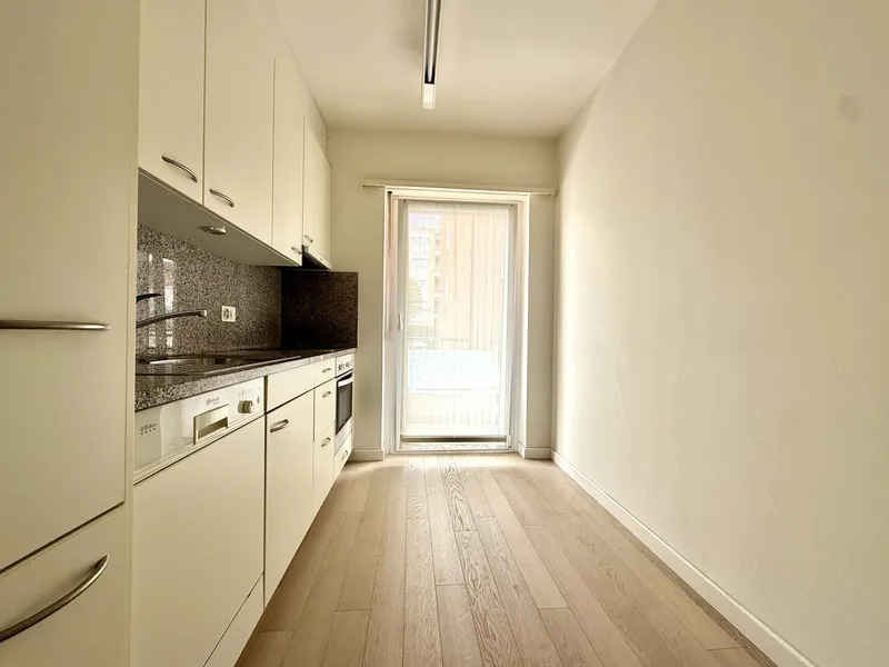 AFFITTASI CONFORTEVOLE 3.5 LOCALI CON 2 TERRAZZE A VIGANELLO, foto 4