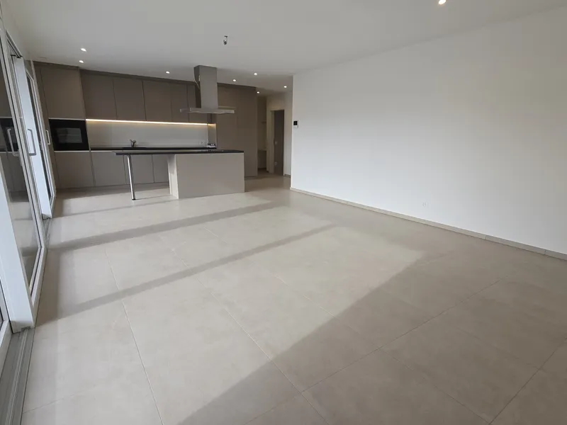 NUOVO ED AMPIO ATTICO 3.5 LOCALI CON TERRAZZA AD AGNO, foto 5