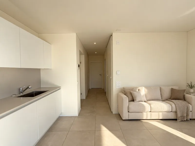NUOVO ATTICO 2.5 LOCALI CON TERRAZZA VISTA LAGO A ROVIO, foto 4