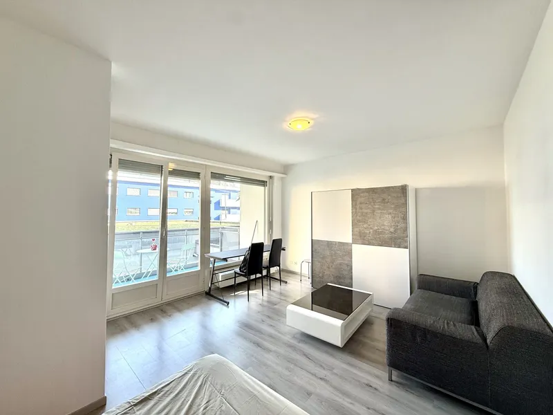 OTTIMO INVESTIMENTO A DUE PASSI DAL CENTRO DI LUGANO, Foto 2