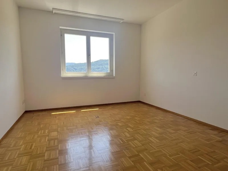 AFFITTASI AMPIO 3.5 CON VISTA APERTA A COLLINA D'ORO, foto 8