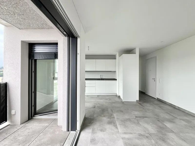 AFFITTASI NUOVO 2.5 LOCALI CON TERRAZZO A LUGANO TESSERETE, photo 2
