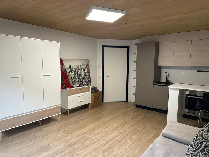 NUOVO 1.5 LOCALI ARREDATO CON GIARDINO A CADENAZZO, foto 6