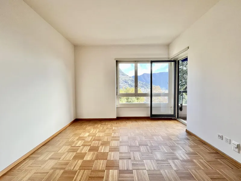 AFFITTASI SPLENDIDO 3.5 LOCALI CON VISTA LAGO A LUGANO, foto 4