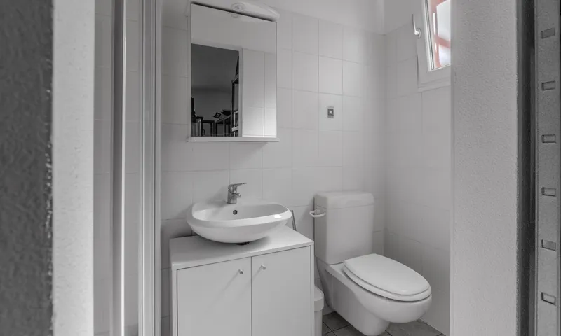 COMODA CASA 4.5 LOCALI NEL VERDE CON VISTA A BELLINZONA-DARO, Foto 12