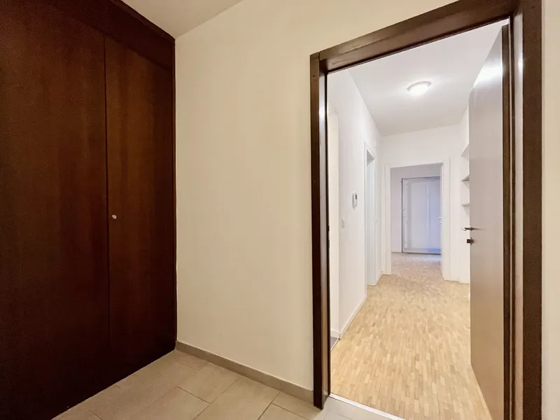 AFFITTASI BELLISSIMO 1.5 LOCALI RISTRUTTURATO A COLDRERIO, foto 3