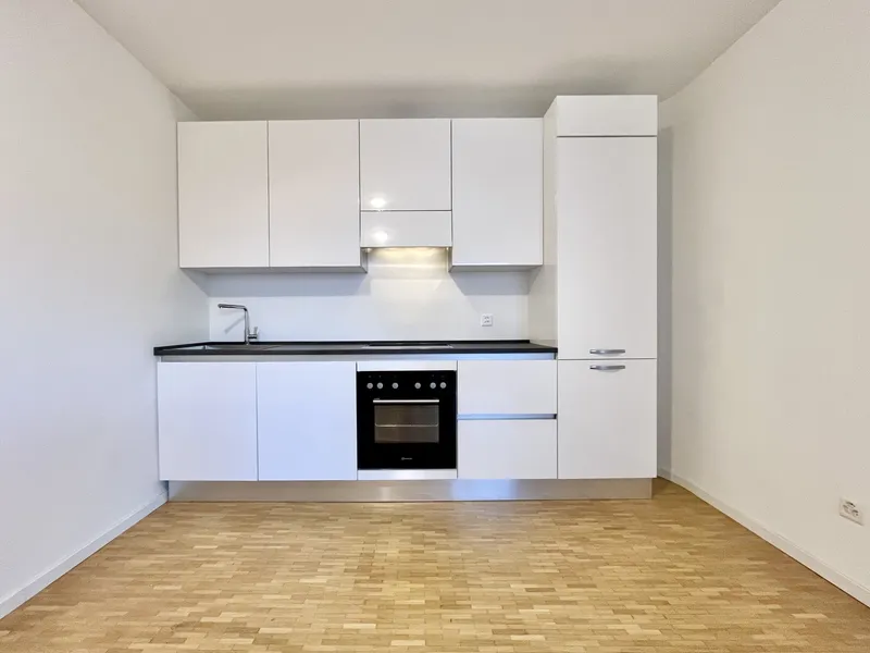 AFFITTASI BELLISSIMO 1.5 LOCALI RISTRUTTURATO A COLDRERIO, foto 10