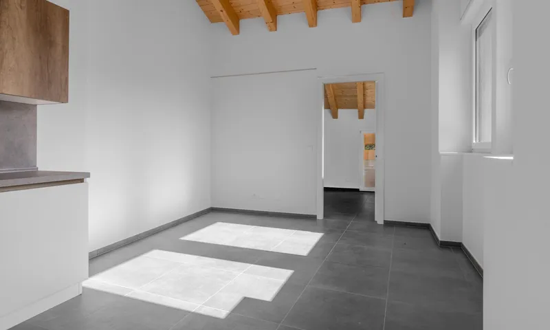 3.5 LOCALI DI NUOVA COSTRUZIONE CON BALCONE A LOPAGNO, photo 5