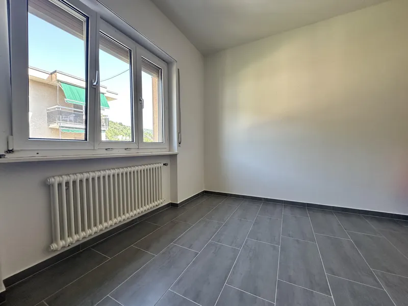 SUPER OCCASIONE - 3.5 RISTRUTTURATO CON BALCONE A LAMONE, Foto 6