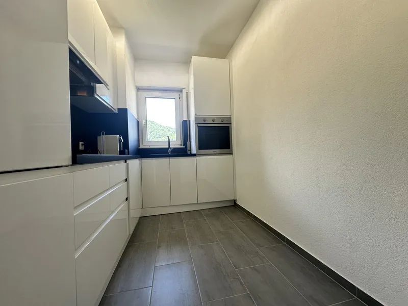 SUPER OCCASIONE - 3.5 RISTRUTTURATO CON BALCONE A LAMONE, Foto 4