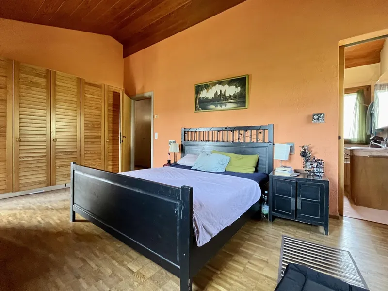 AMPIA CASA 6 LOCALI NEL VERDE A LAMONE(, photo 7