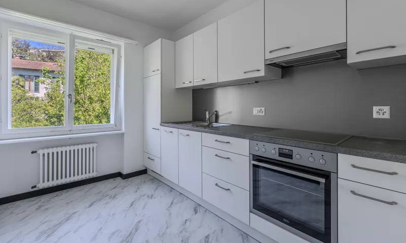 3.5 LOCALI RISTRUTTURATO CON VISTA APERTA NEL VERDE A STABIO, foto 3
