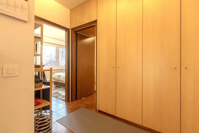 INVESTIMENTO IDEALE - AMPIO 3.5 CON TERRAZZA NEL LUGANESE, foto 7