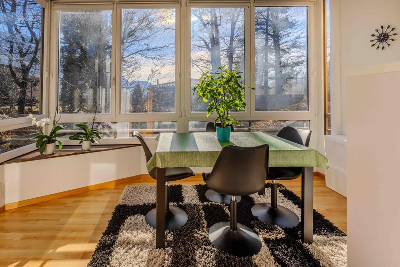 INVESTIMENTO IDEALE - AMPIO 3.5 CON TERRAZZA NEL LUGANESE, foto 2