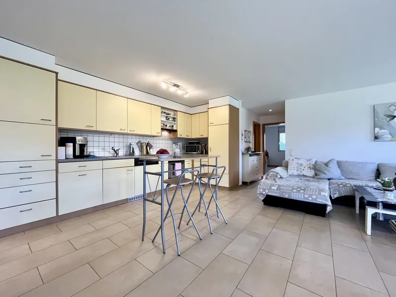 AFFITTASI BELLISSIMO 3.5 LOCALI CON TERRAZZA AD AGNO, Foto 4